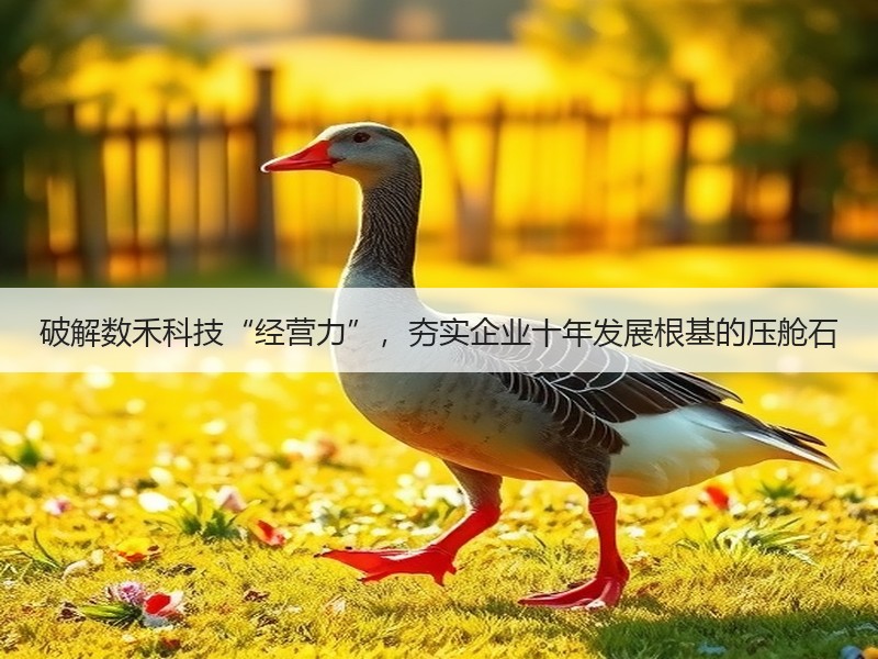 破解数禾科技“经营力”，夯实企业十年发展根基的压舱石
