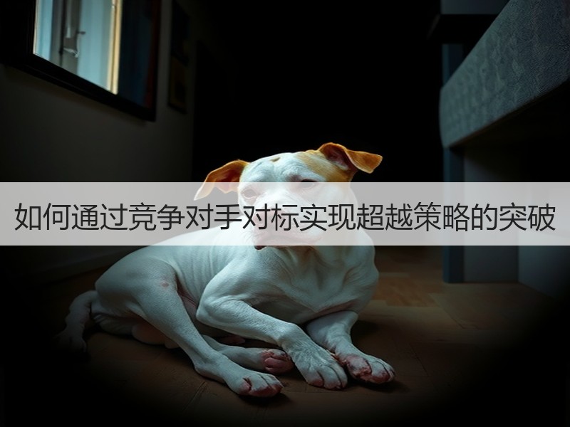 如何通过竞争对手对标实现超越策略的突破