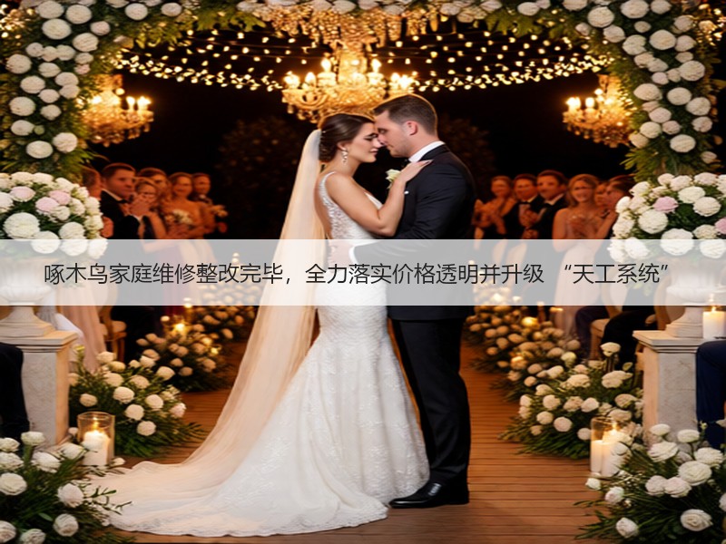 啄木鸟家庭维修整改完毕，全力落实价格透明并升级 “天工系统”