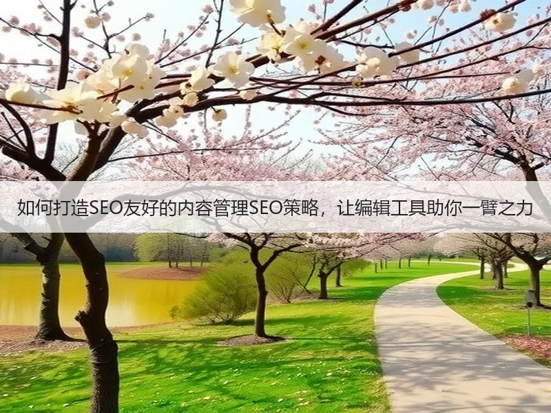 如何打造SEO友好的内容管理SEO策略，让编辑工具助你一臂之力