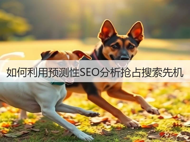 如何利用预测性SEO分析抢占搜索先机