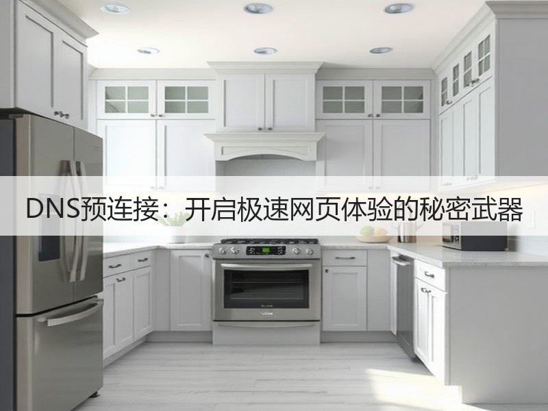 DNS预连接：开启极速网页体验的秘密武器