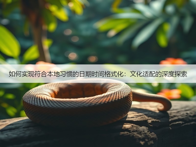 如何实现符合本地习惯的日期时间格式化：文化适配的深度探索