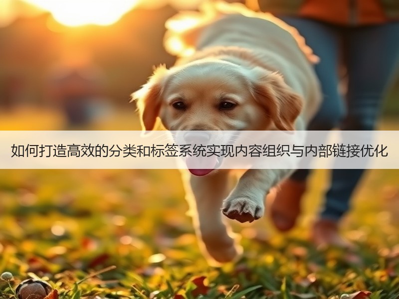 如何打造高效的分类和标签系统实现内容组织与内部链接优化