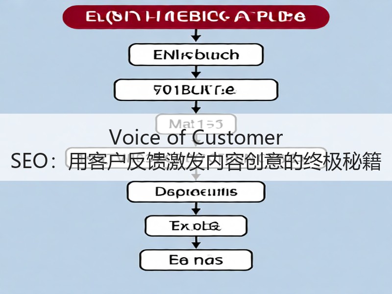 Voice of Customer SEO：用客户反馈激发内容创意的终极秘籍