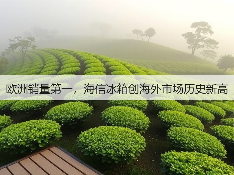 欧洲销量第一，海信冰箱创海外市场历史新高