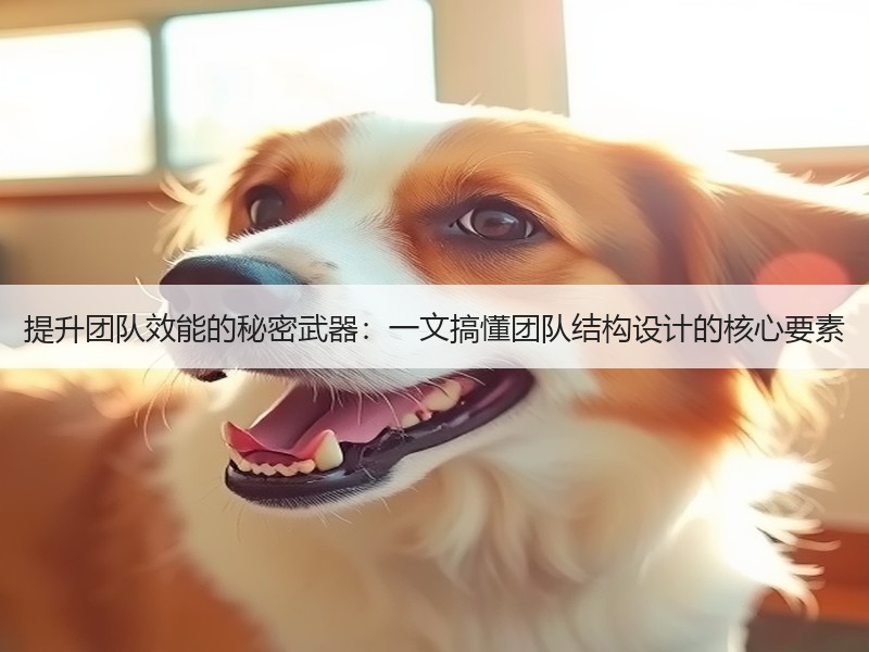 提升团队效能的秘密武器：一文搞懂团队结构设计的核心要素