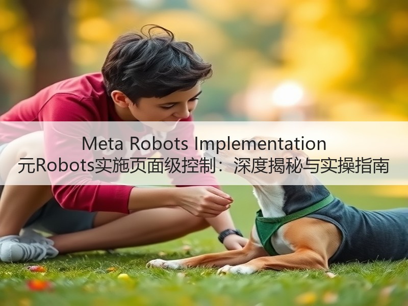 Meta Robots Implementation 元Robots实施页面级控制：深度揭秘与实操指南