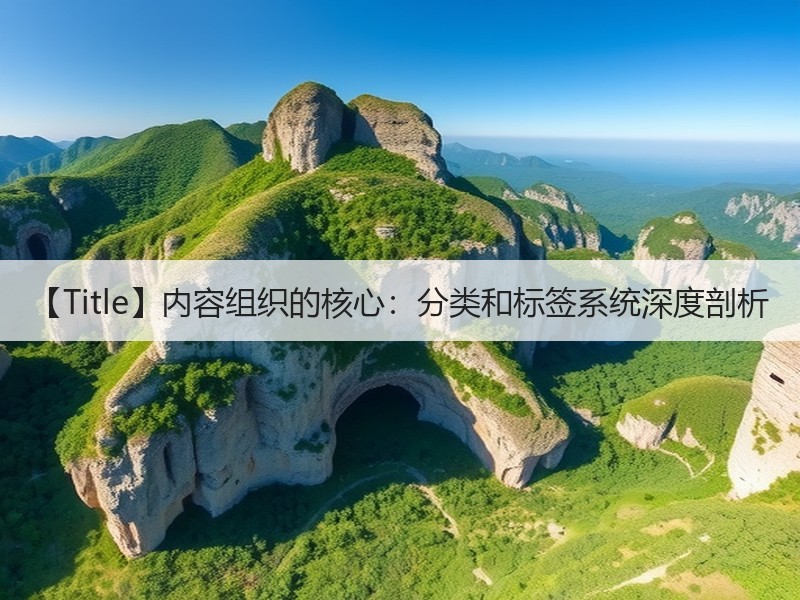 【Title】内容组织的核心：分类和标签系统深度剖析