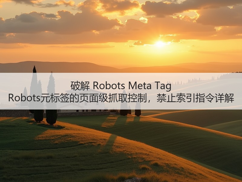 破解 Robots Meta Tag Robots元标签的页面级抓取控制，禁止索引指令详解