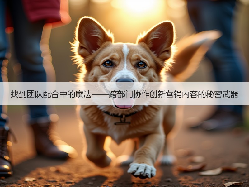 找到团队配合中的魔法——跨部门协作创新营销内容的秘密武器